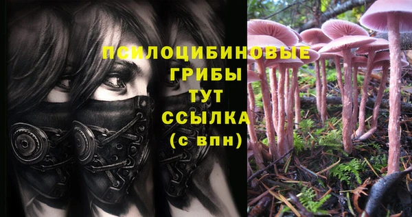 гашик Семикаракорск