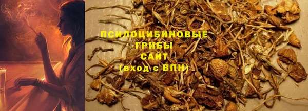 ПСИЛОЦИБИНОВЫЕ ГРИБЫ Семилуки