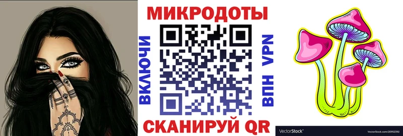 Псилоцибиновые грибы Magic Shrooms  цены наркотик  Камень-на-Оби 