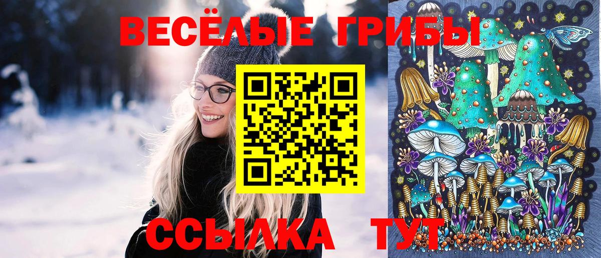 Галлюциногенные грибы ЛСД Камень-на-Оби